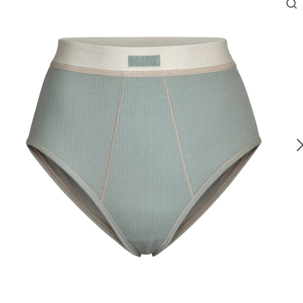 Skims - Cotton Rib Brief in Mineral in Size XL
